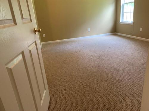 carpet cleaning look new residential