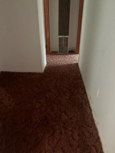 carpet cleaning floor