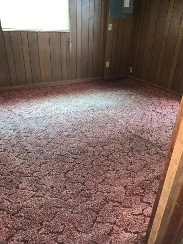 carpet cleaning commercial waycross ga